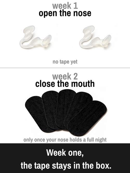 Zephyrra™ Nasal Dilator